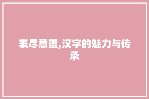 表尽意蕴,汉字的魅力与传承