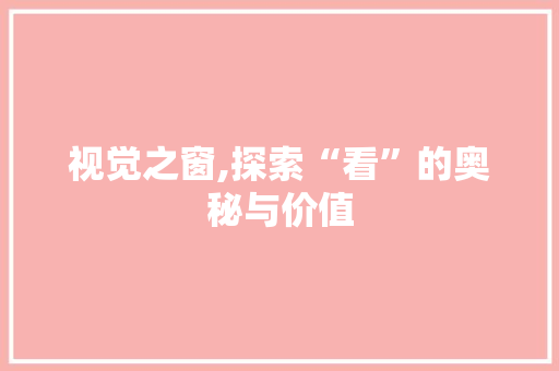 视觉之窗,探索“看”的奥秘与价值