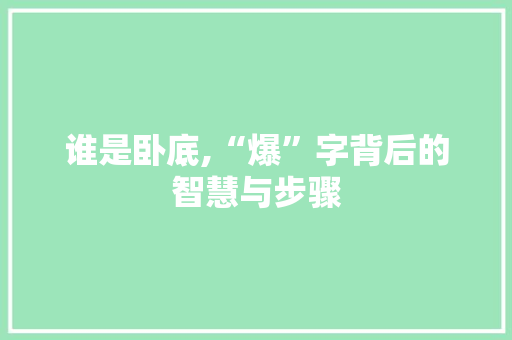谁是卧底,“爆”字背后的智慧与步骤 报告写作