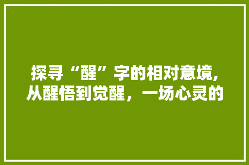 探寻“醒”字的相对意境,从醒悟到觉醒，一场心灵的蜕变之旅