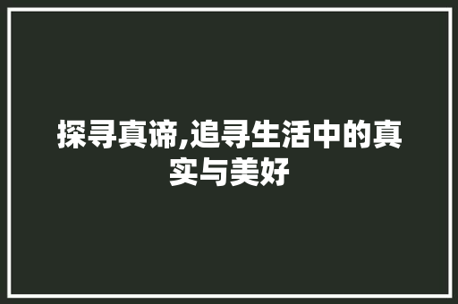 探寻真谛,追寻生活中的真实与美好 词汇积累