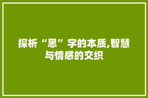 探析“思”字的本质,智慧与情感的交织 写作技巧