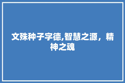 文殊种子字德,智慧之源，精神之魂