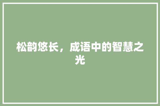 松韵悠长，成语中的智慧之光