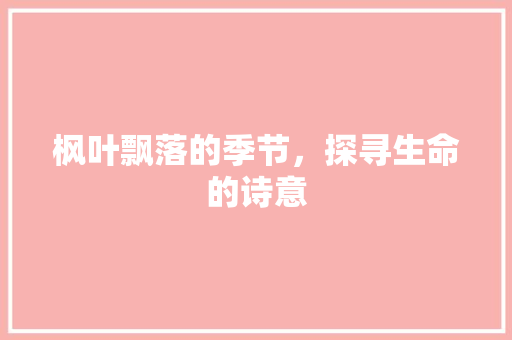 枫叶飘落的季节，探寻生命的诗意