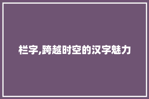 栏字,跨越时空的汉字魅力