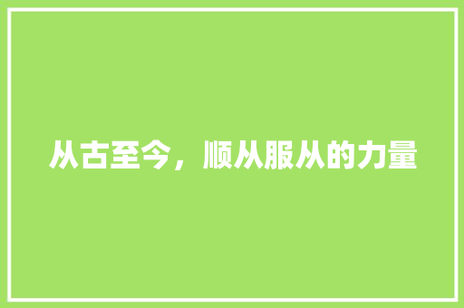 从古至今，顺从服从的力量 写作技巧