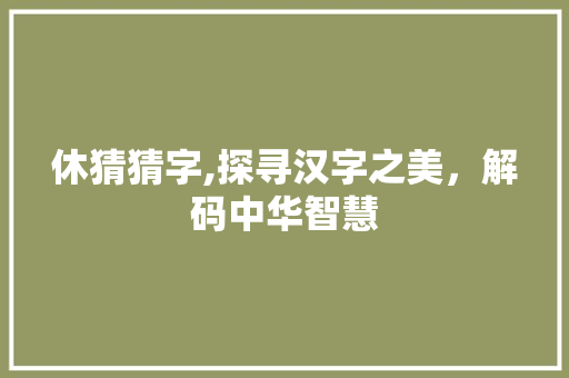 休猜猜字,探寻汉字之美，解码中华智慧