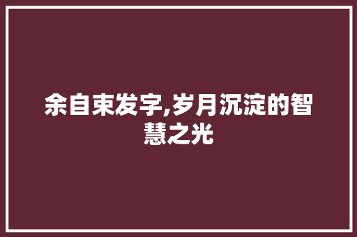 余自束发字,岁月沉淀的智慧之光