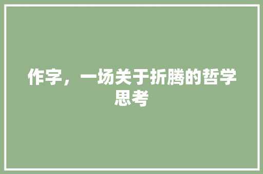 作字，一场关于折腾的哲学思考 简历模板