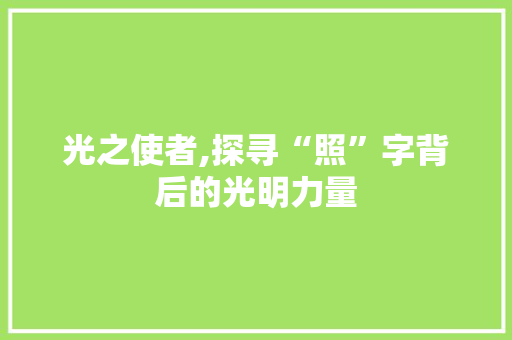 光之使者,探寻“照”字背后的光明力量 写作素材