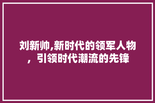 刘新帅,新时代的领军人物，引领时代潮流的先锋