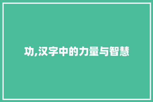 功,汉字中的力量与智慧