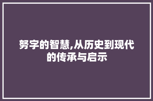 努字的智慧,从历史到现代的传承与启示