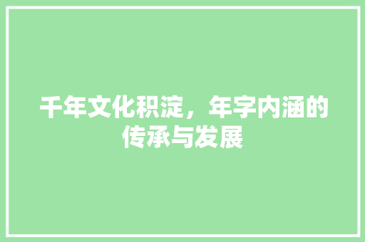 千年文化积淀，年字内涵的传承与发展