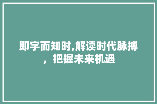 即字而知时,解读时代脉搏，把握未来机遇