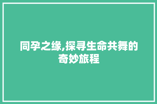 同孕之缘,探寻生命共舞的奇妙旅程