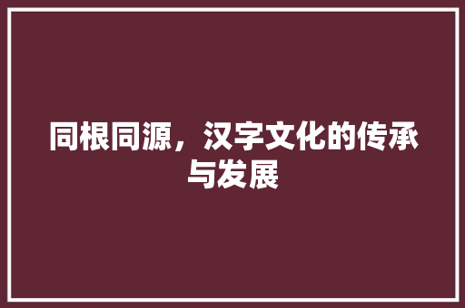 同根同源，汉字文化的传承与发展 写作技巧