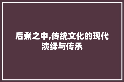 后煮之中,传统文化的现代演绎与传承 写作素材