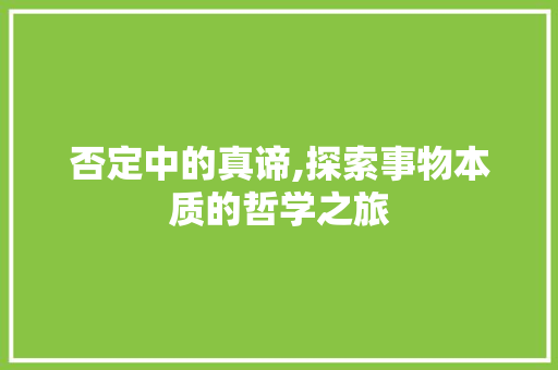 否定中的真谛,探索事物本质的哲学之旅 诗歌创作