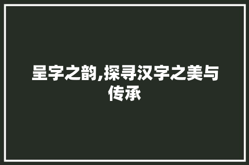 呈字之韵,探寻汉字之美与传承