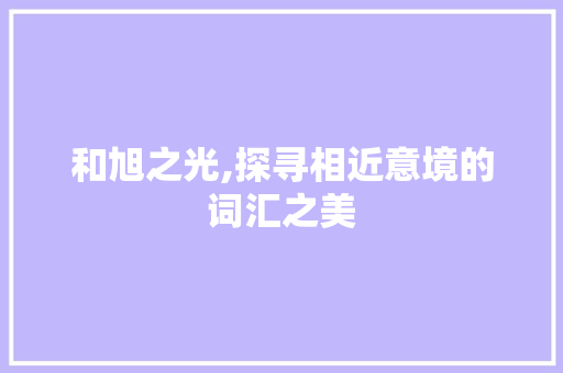 和旭之光,探寻相近意境的词汇之美