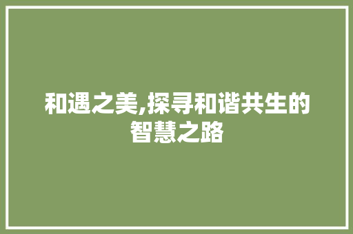 和遇之美,探寻和谐共生的智慧之路 写作技巧