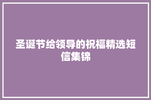 圣诞节给领导的祝福精选短信集锦