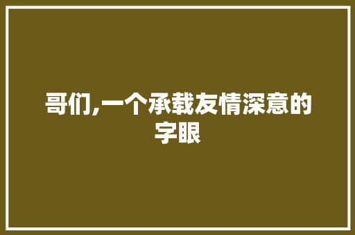 哥们,一个承载友情深意的字眼