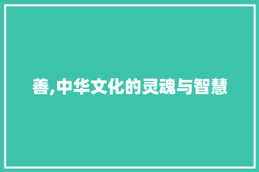 善,中华文化的灵魂与智慧