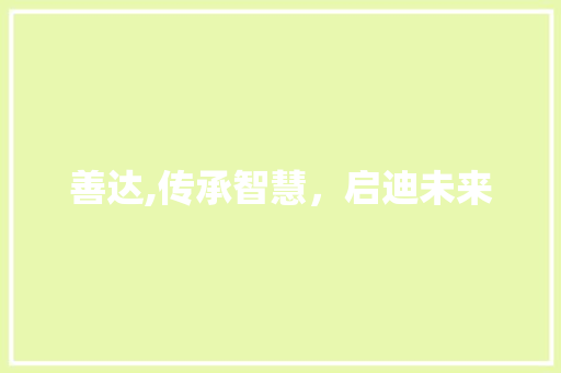 善达,传承智慧，启迪未来