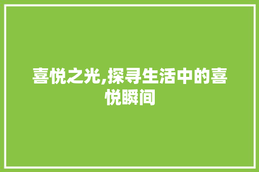 喜悦之光,探寻生活中的喜悦瞬间 写作技巧