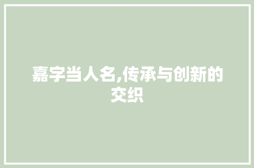 嘉字当人名,传承与创新的交织 报告写作