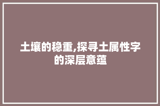土壤的稳重,探寻土属性字的深层意蕴