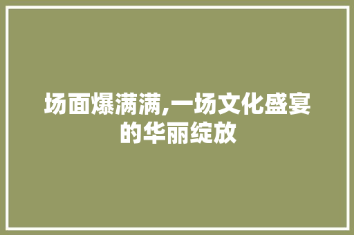 场面爆满满,一场文化盛宴的华丽绽放