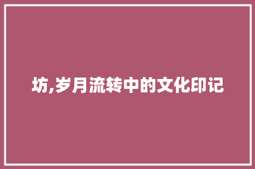 坊,岁月流转中的文化印记