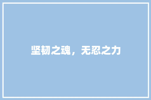 坚韧之魂，无忍之力