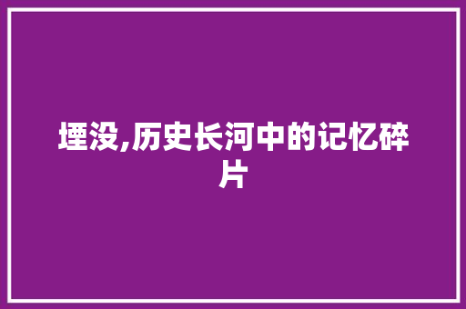 堙没,历史长河中的记忆碎片