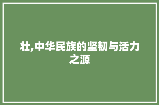 壮,中华民族的坚韧与活力之源
