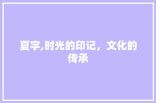 夏字,时光的印记，文化的传承 词汇积累