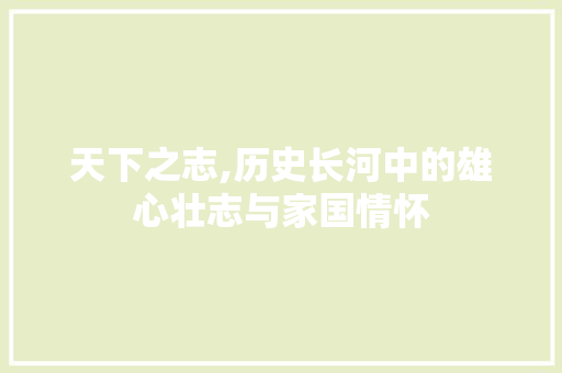 天下之志,历史长河中的雄心壮志与家国情怀