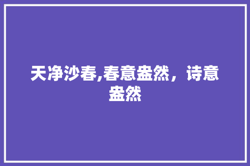 天净沙春,春意盎然，诗意盎然