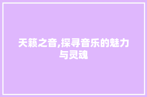 天籁之音,探寻音乐的魅力与灵魂