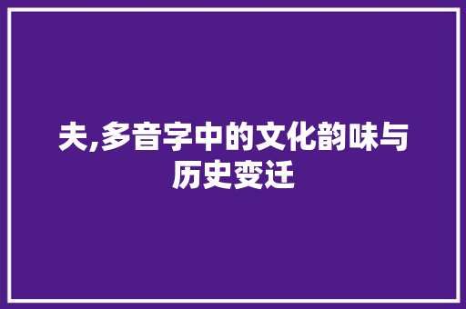 夫,多音字中的文化韵味与历史变迁