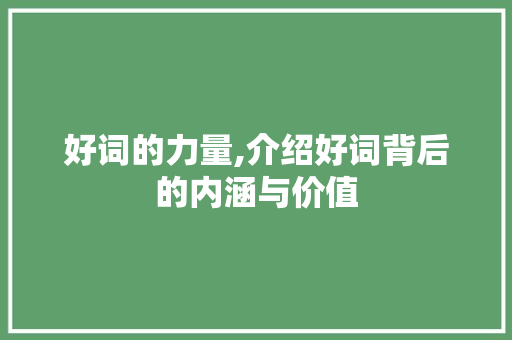 好词的力量,介绍好词背后的内涵与价值