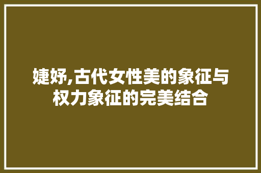 婕妤,古代女性美的象征与权力象征的完美结合 商业文案