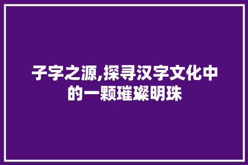 子字之源,探寻汉字文化中的一颗璀璨明珠 报告写作