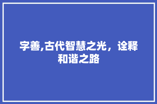 字善,古代智慧之光，诠释和谐之路 报告写作