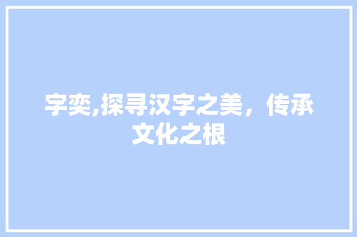 字奕,探寻汉字之美，传承文化之根 报告写作