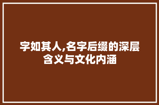 字如其人,名字后缀的深层含义与文化内涵 范文赏析